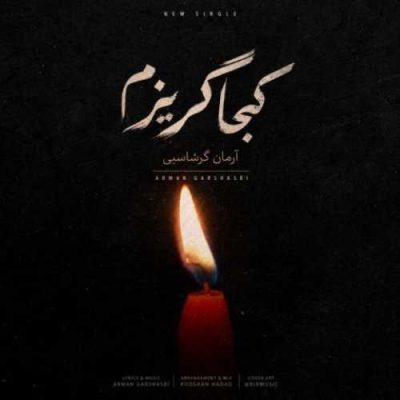 ای نور هر دو دیده بی تو چگونه بینم